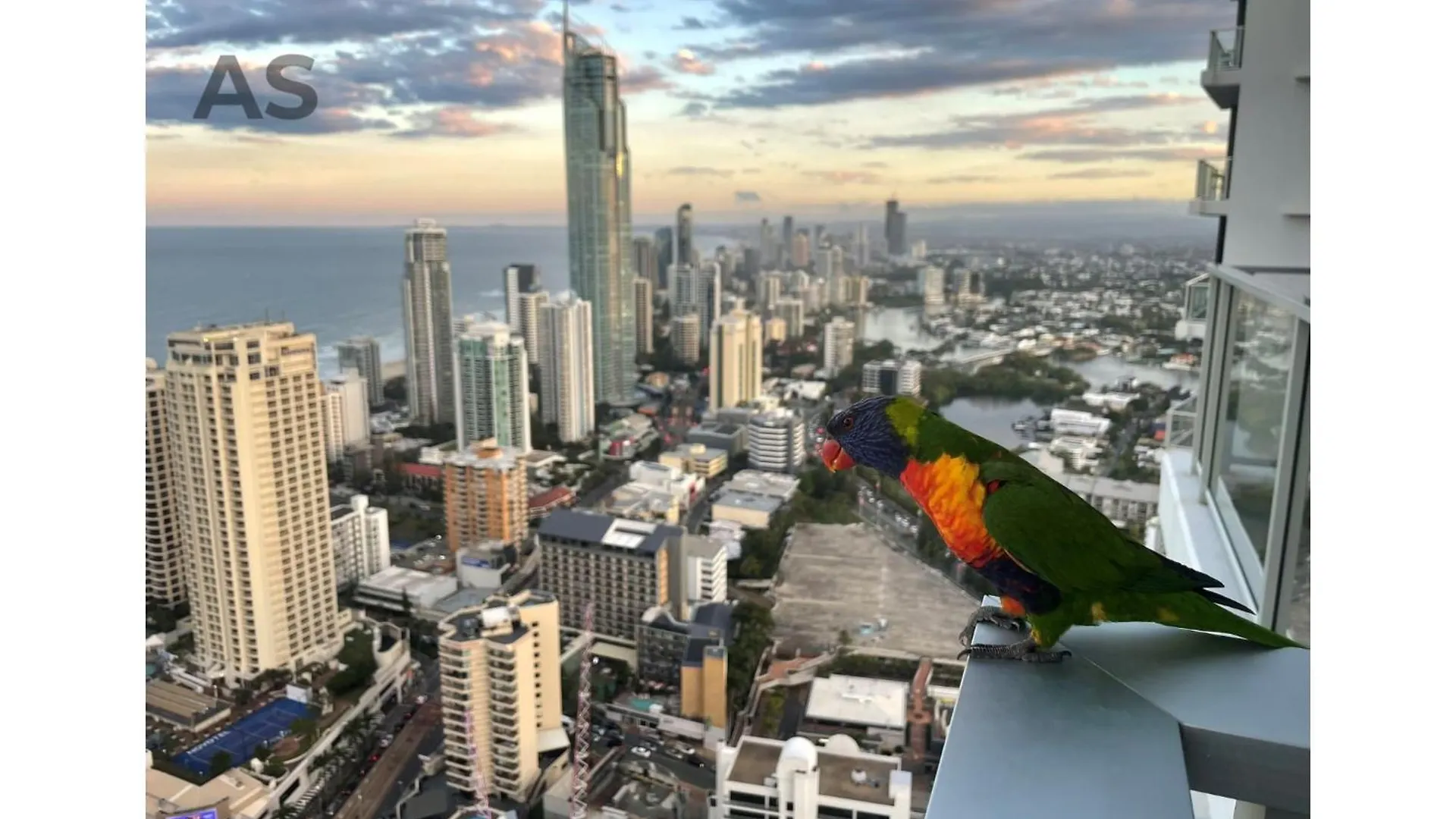 Circle On Cavill - Private Apartments - Apartment Stay Gold Coast